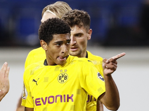 官方公布的 官方公布的